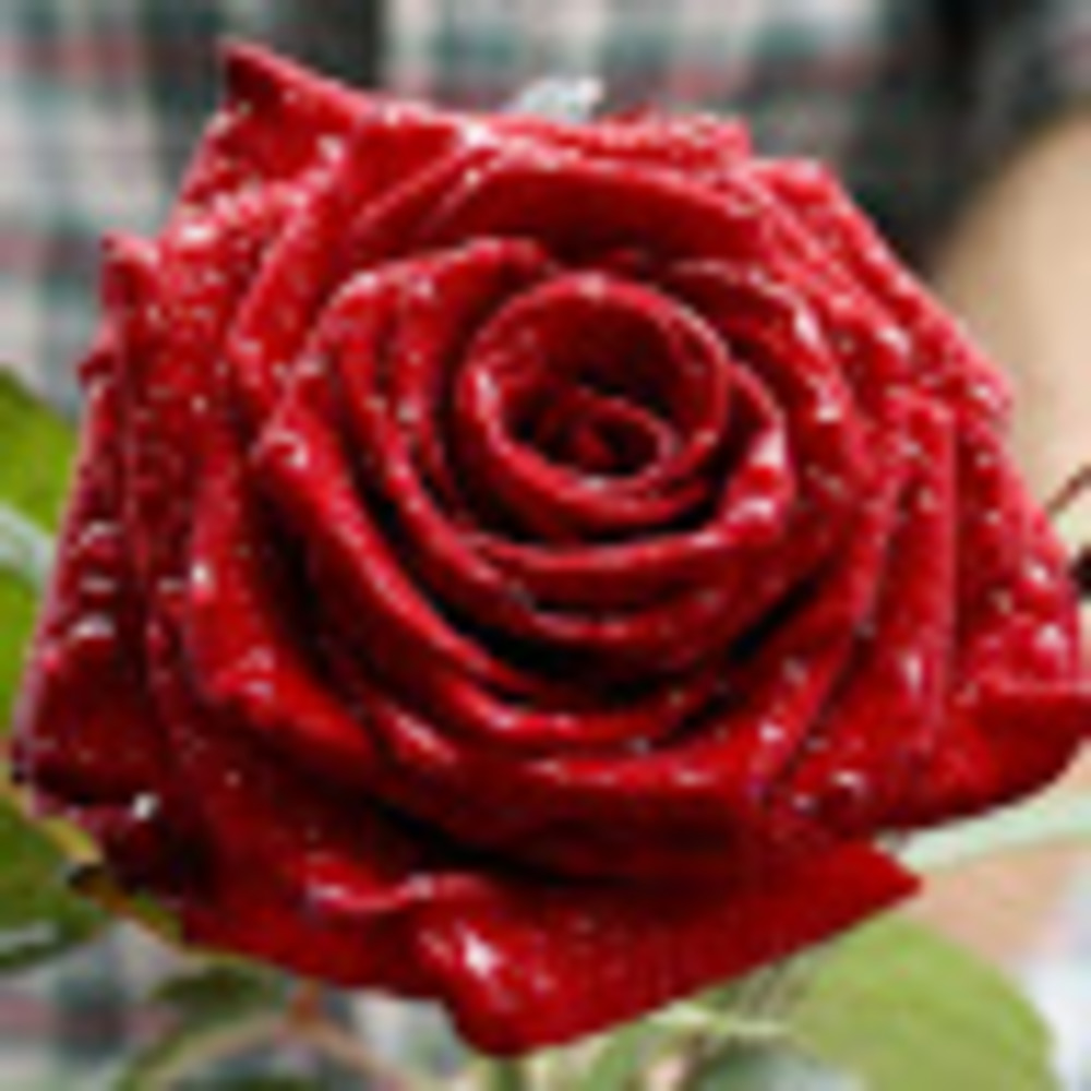 Meet your Posher, Rebekah